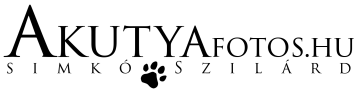 aKutyafotós