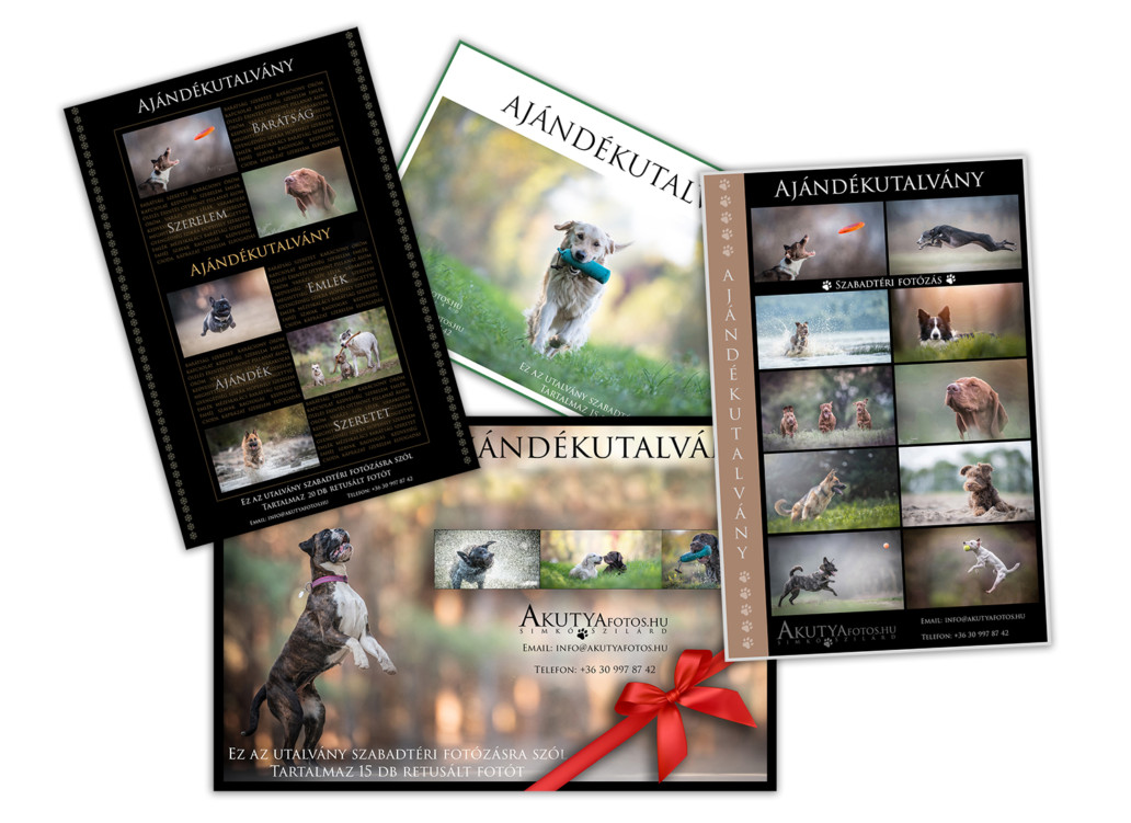 Kutyafotózás ajándékutalvány