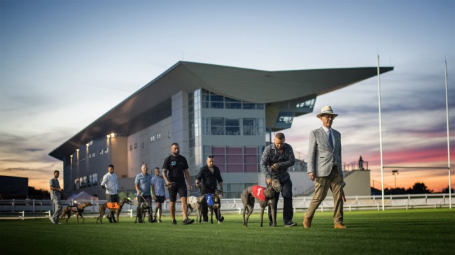 Rendezvény fotózás