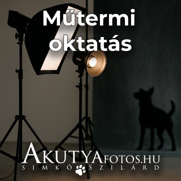 Műtermi oktatás