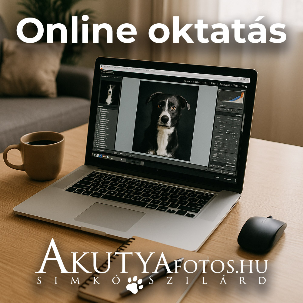 Online oktatás 2 óra (2)