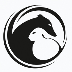 Hungária Coursing Egyesület videó készítés