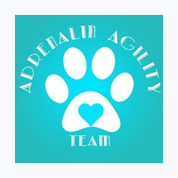 Adrenalin Agility Team verseny fotózása