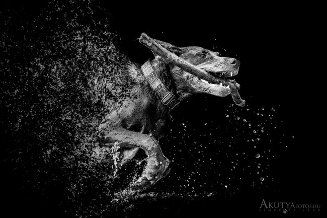 Üvegszilánk effektes kreatív fotó