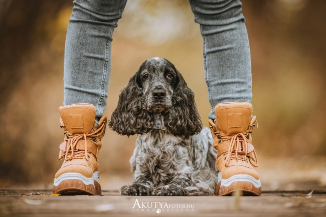 Szabadtéri fotózás kutyával a gazdi lábával