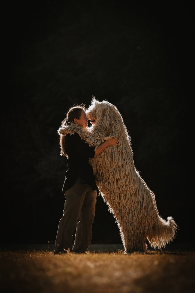 Gazdi és kutya közös fotózása a mezőn