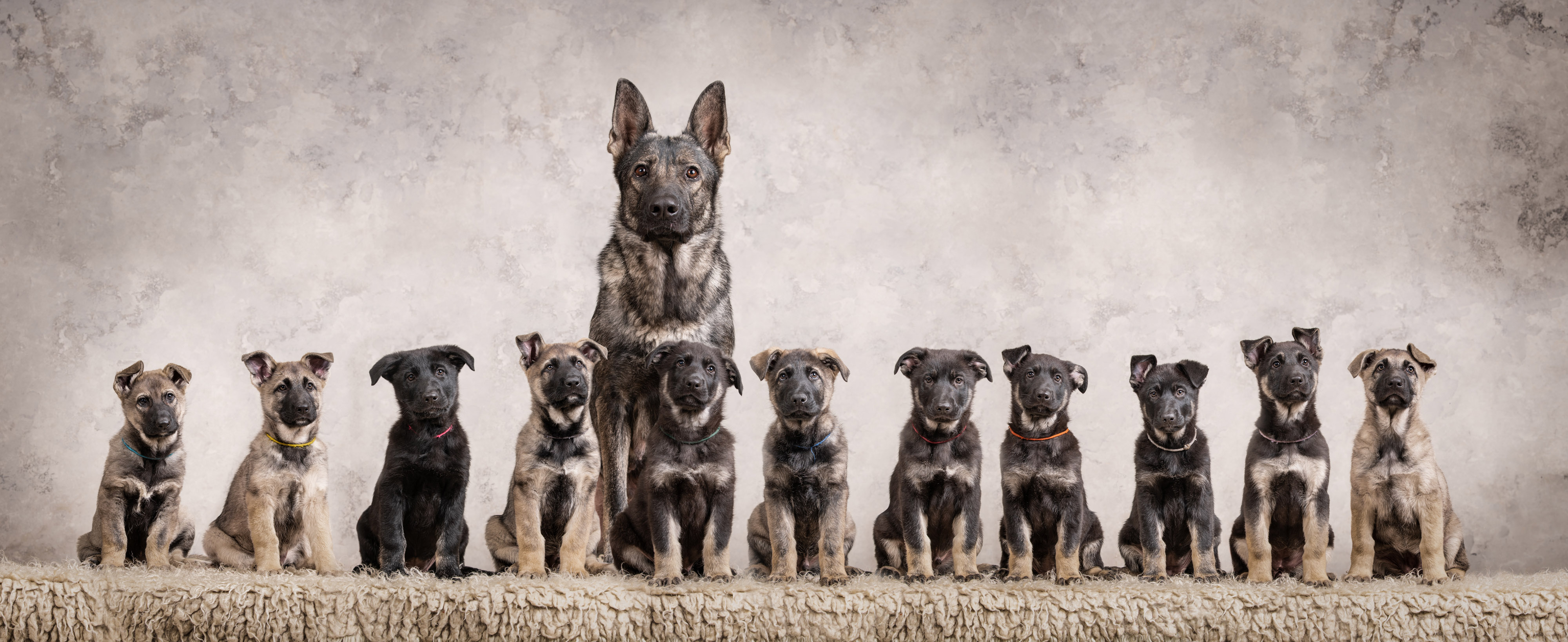 Örökítsd meg a pillanatot