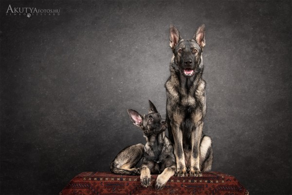 Felnézek rád - műtermi fotózás pillanatok