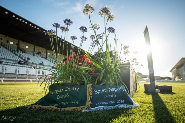 Magyar derby döntő a Kincsem Parkban