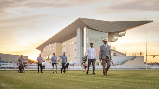 Kincsem park felvonulás verseny előtt