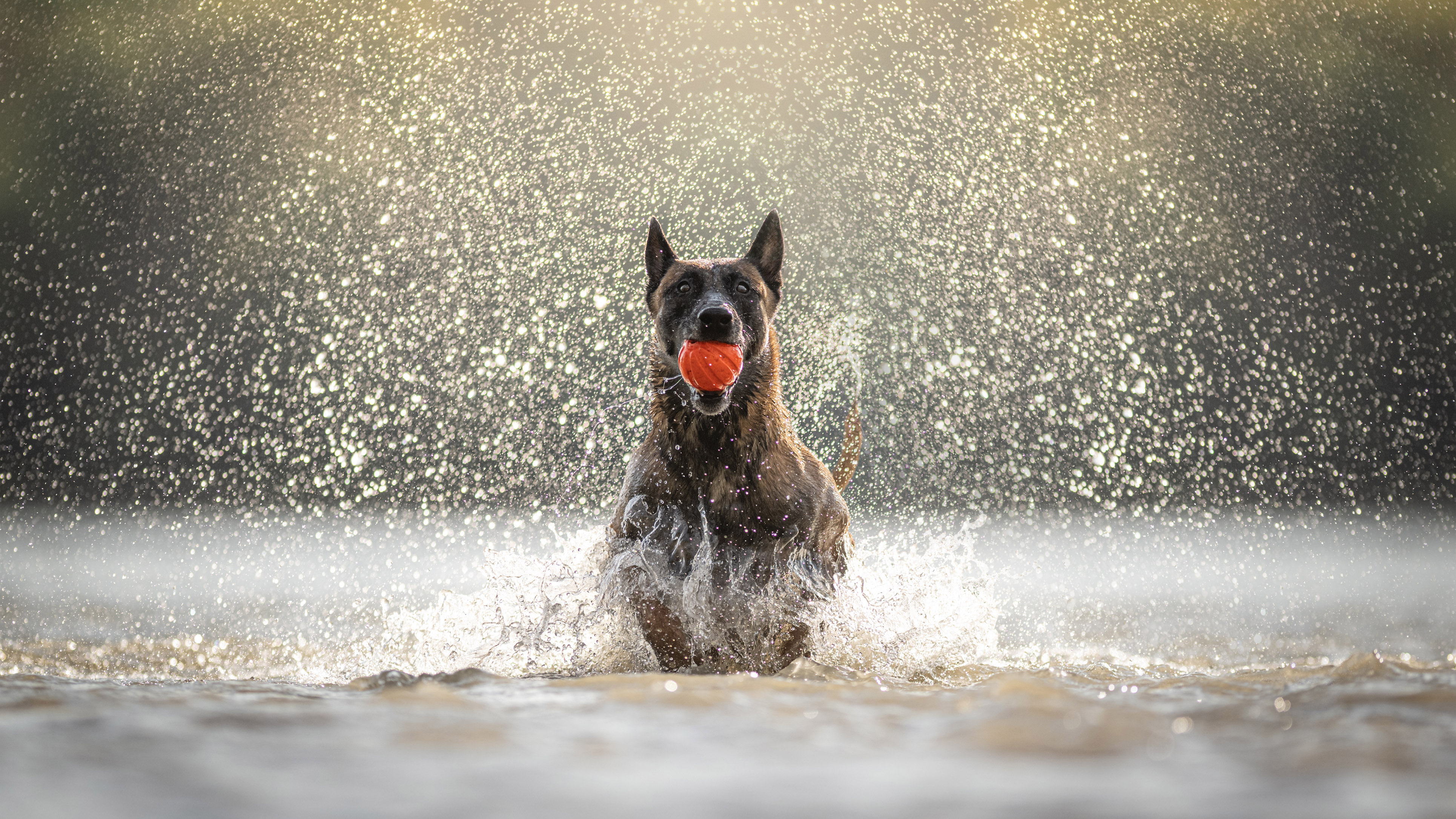 Mali vizes fotózása