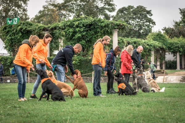 Csoportos kép gazdikkal és kutyákkal