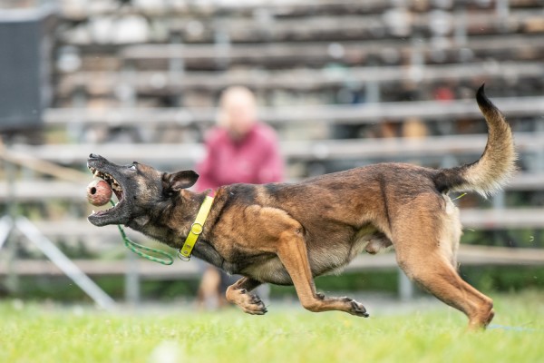 Mali labdázik egy rendezvényen