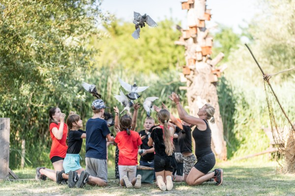 Galambokat engednek el egy eseményen a gyerekek