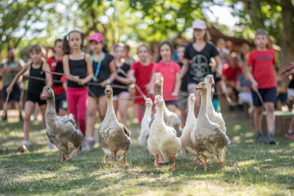 Libák és gyerekek egy rendezvényen