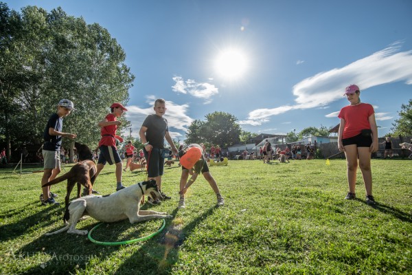 Gyerekek és kutyák egy eseményen