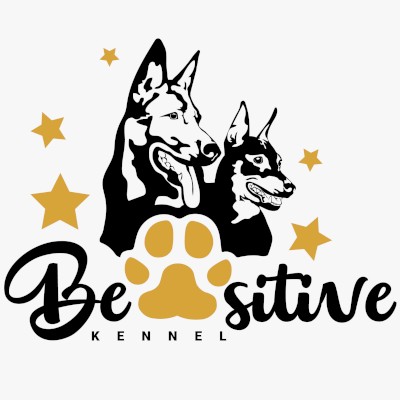 kutyafotózás tenyésztőknek